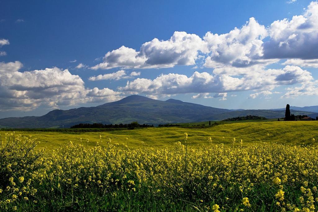Casetta Del Pozzo Seggiano Szoba fotó